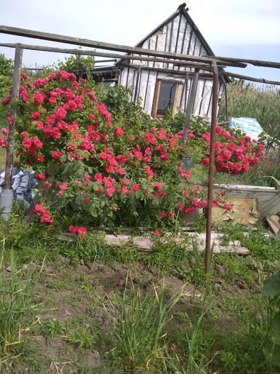 Дача 20 м² на участке 6 сот.