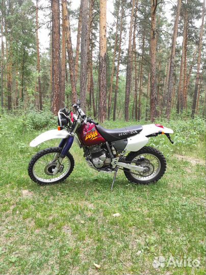 Honda XR 250