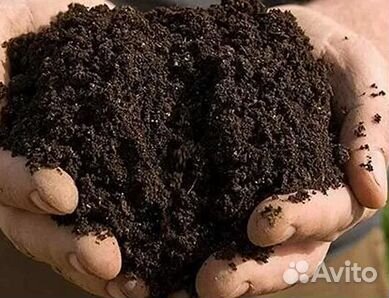 Почвогрунт