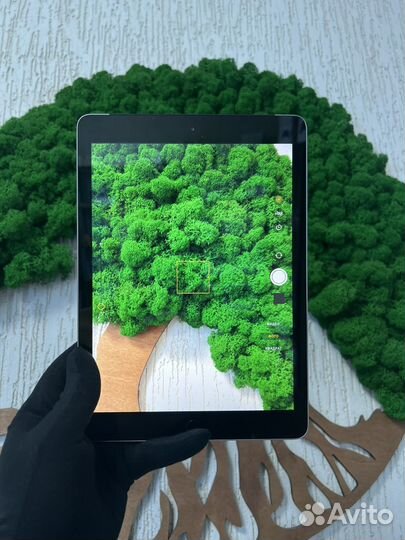 iPad (5th generation) 2017 Wi-Fi + Cellular 32 gb