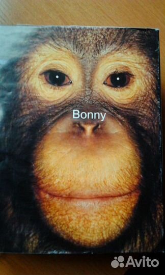 Альбом с открытками 