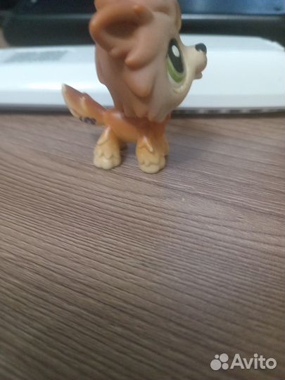 Пет шоп рыжий волк