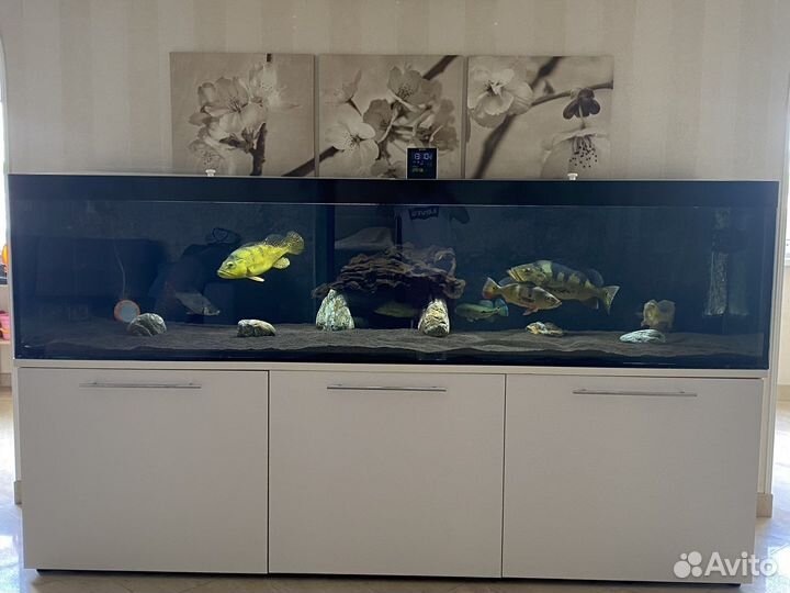 Аквариум с тумбой