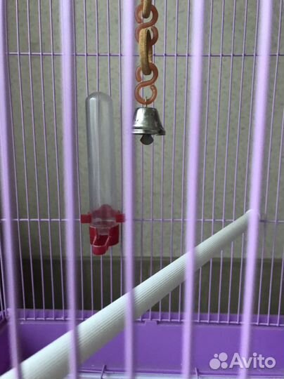 Клетка для птиц