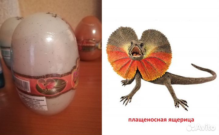 Пазлы пластиковые формата 4D