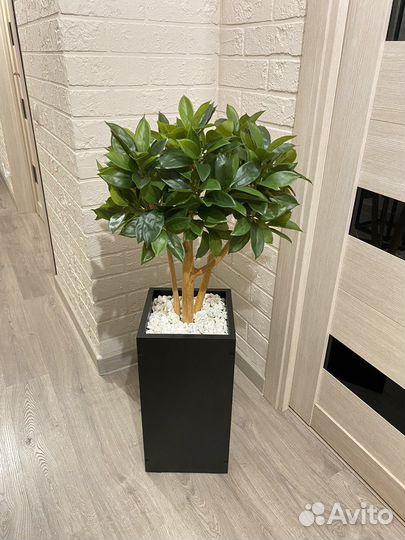 Фикус Лирата, пальма, искусственное дерево