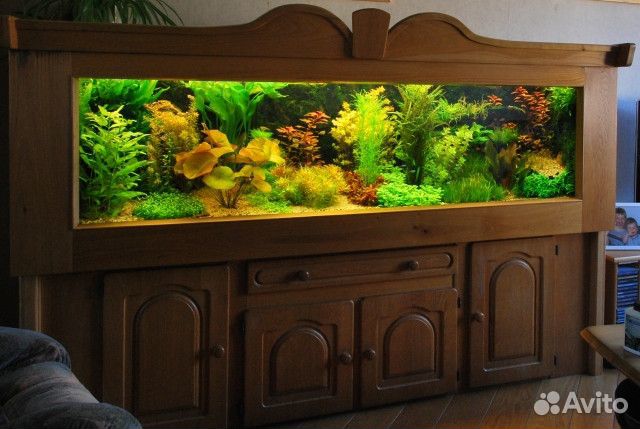 Оформление аквариума с растениями