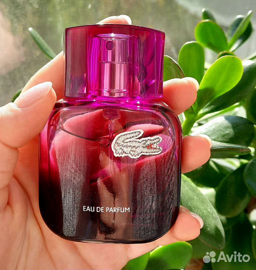 Туалетная вода lacoste женская