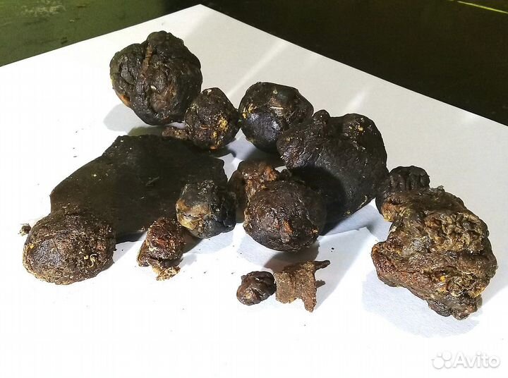 Продам прополис пчелиный