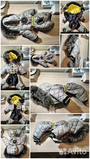 Одежда для собак мелких пород(разная и на заказ)