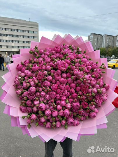 Пионовидные розы