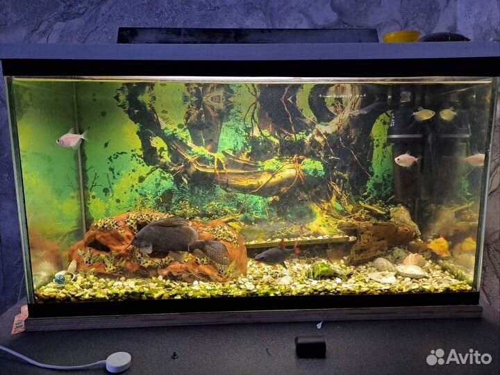 Аквариум