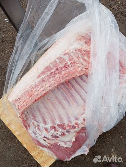 Забойщик свиней