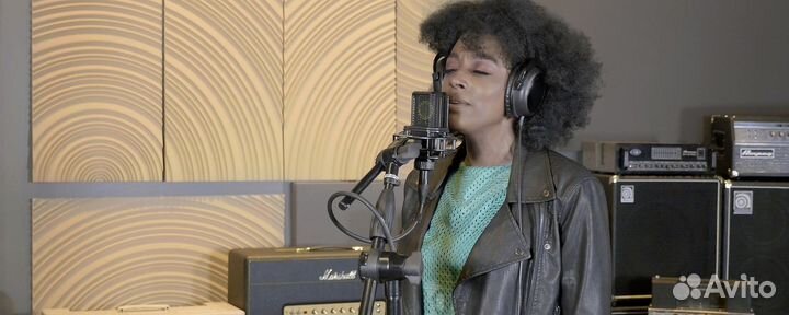 Микрофон lewitt LCT440 Pure