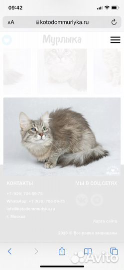 Помогите привезти