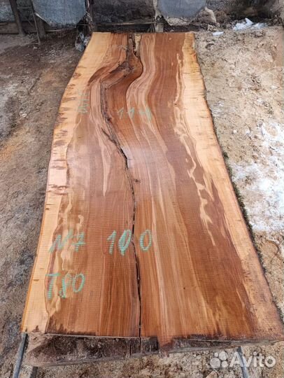 Гигантские слэбы бука