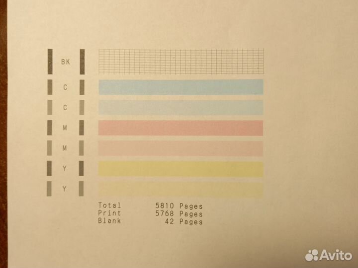 Принтер на пищевых чернилах canon