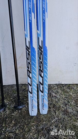 Беговые лыжи