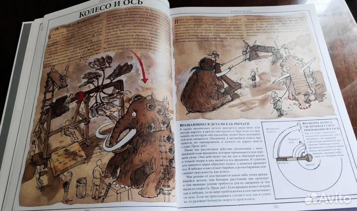 Как все устроено сегодня Маколи