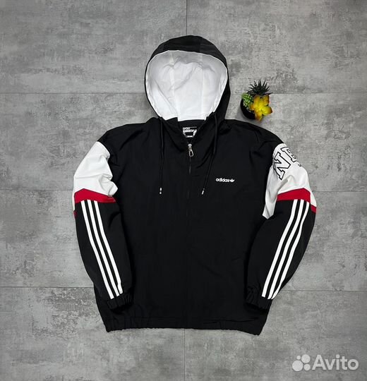 Ветровка мужская Adidas