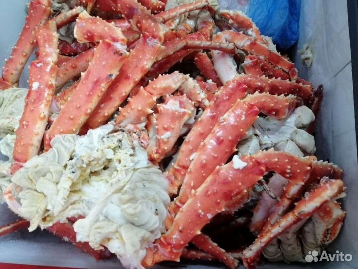 Краб Камчатский