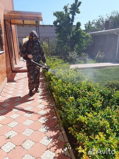 Дезинфекция