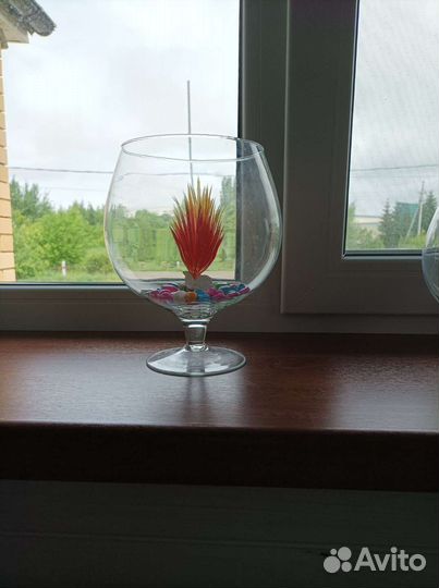 Аквариум круглый