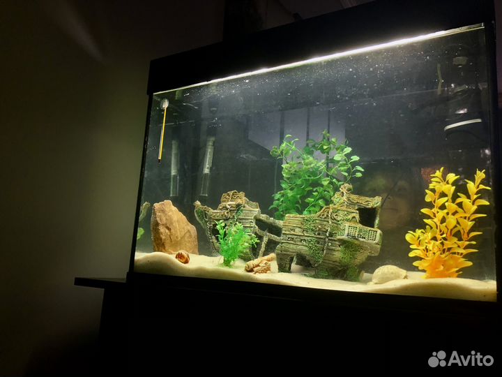 85 литров полный комплект аквариум цихлидник