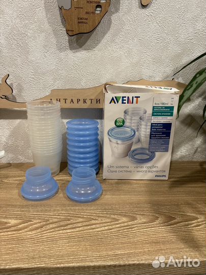 Набор контейнеров для молока Avent