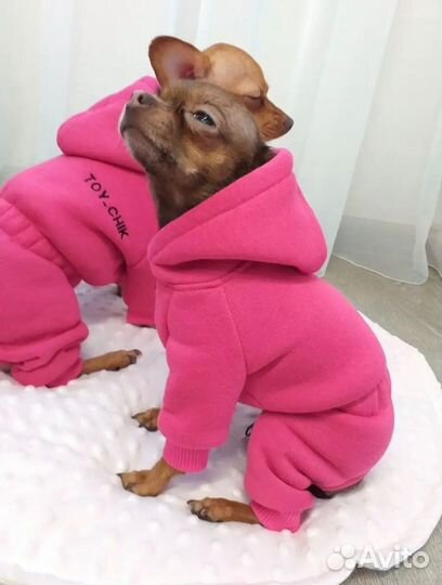 Комбинезон для маленькой собаки