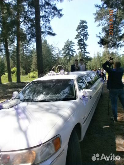 Свадебные украшения на машину