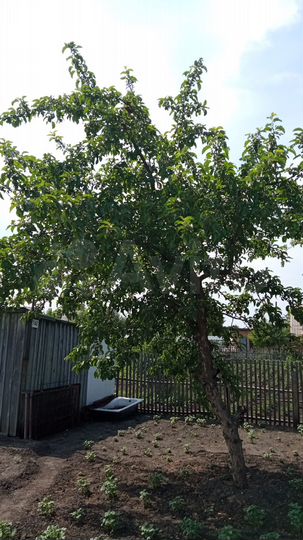 Дача 16 м² на участке 6 сот.