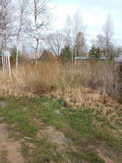 Участок 6 сот. (СНТ, ДНП)