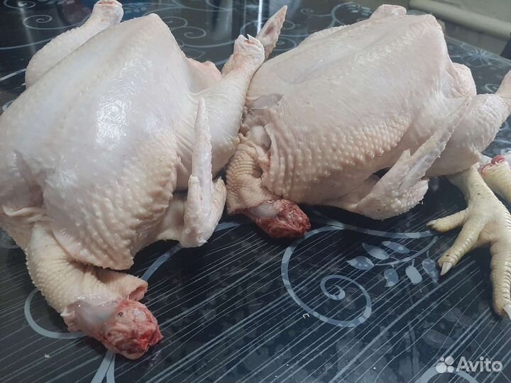 Мясо домашних кур бройлера