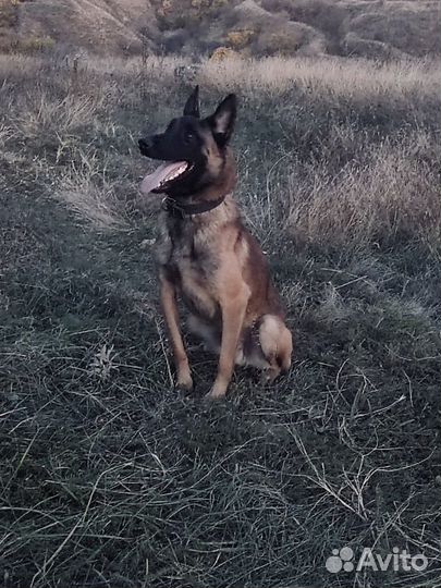 Вязка кабель