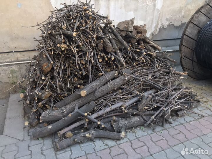 Продам дрова, распиленные, готовые