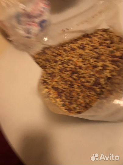 Пыльца пчелиная