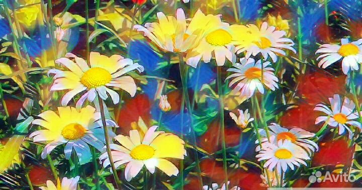 Фотоработы