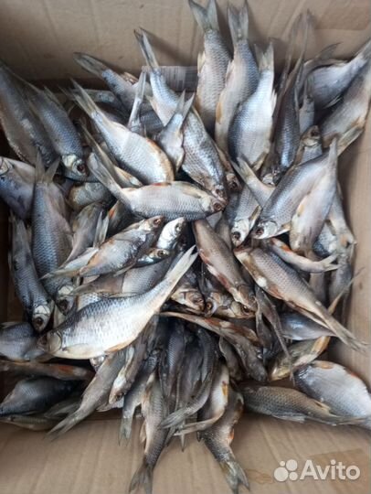 Вяленая плотва