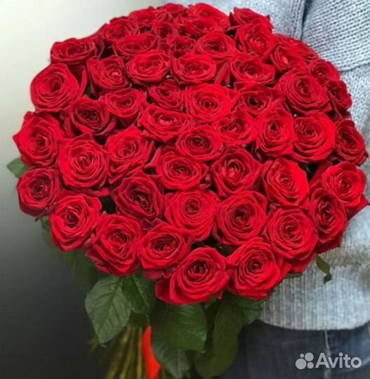 Розы 51, 101 шт с доставкой