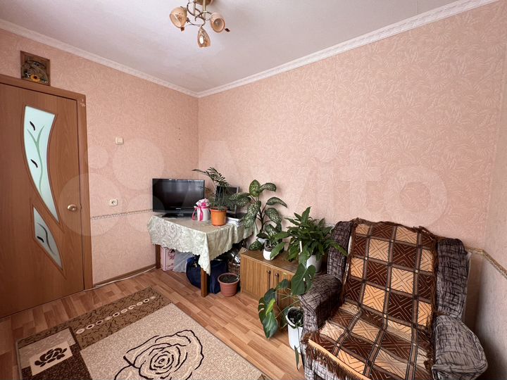 3-к. квартира, 51,5 м², 1/5 эт.