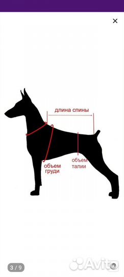 Комбинезон для собаки