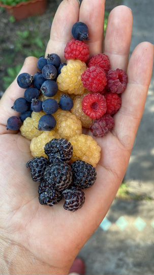 Дача 35 м² на участке 14 сот.