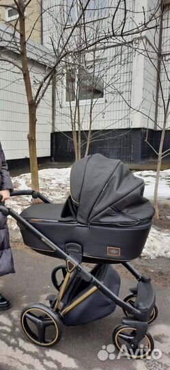 Коляска 2 в 1 adamex