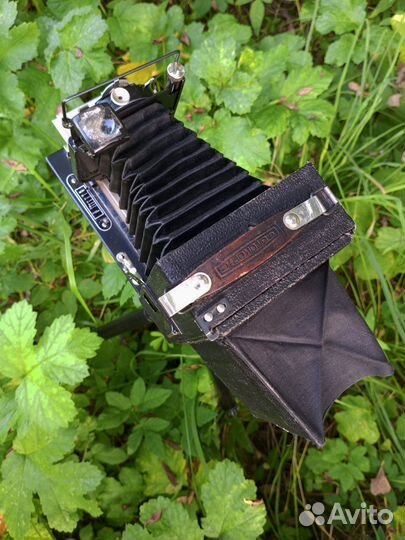 Коллекционный 