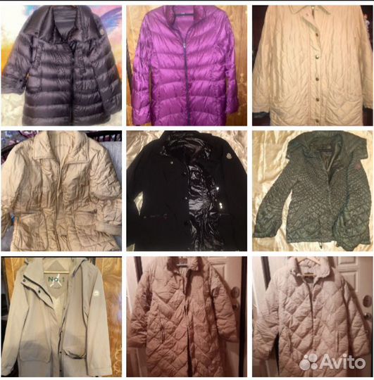 Moncler, burberry, scervino, bogner, uni оригинал