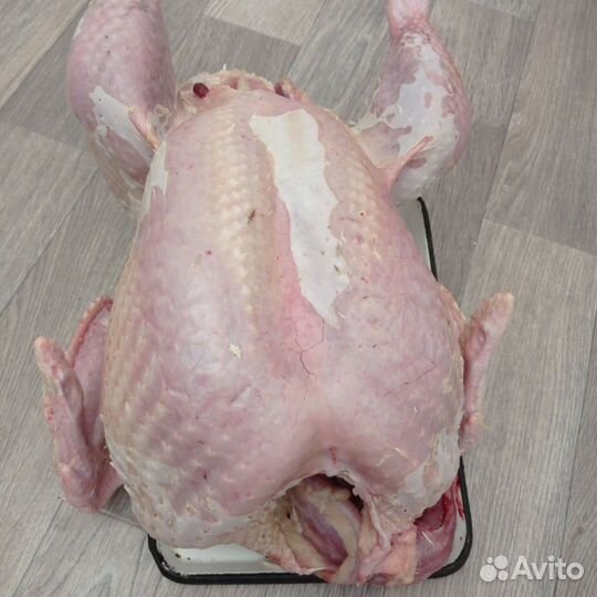 Мясо домашней индейки