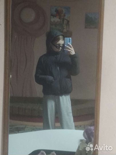 Выгульщик собак