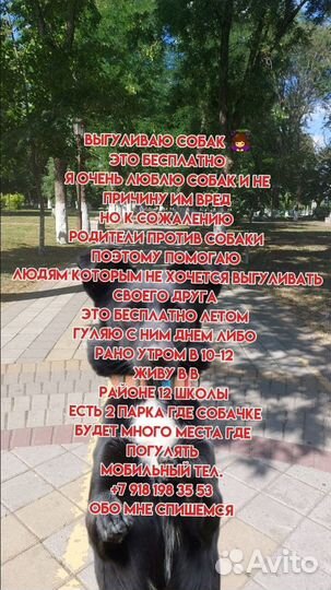 Собаки