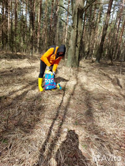 Лосиный помет (навоз)